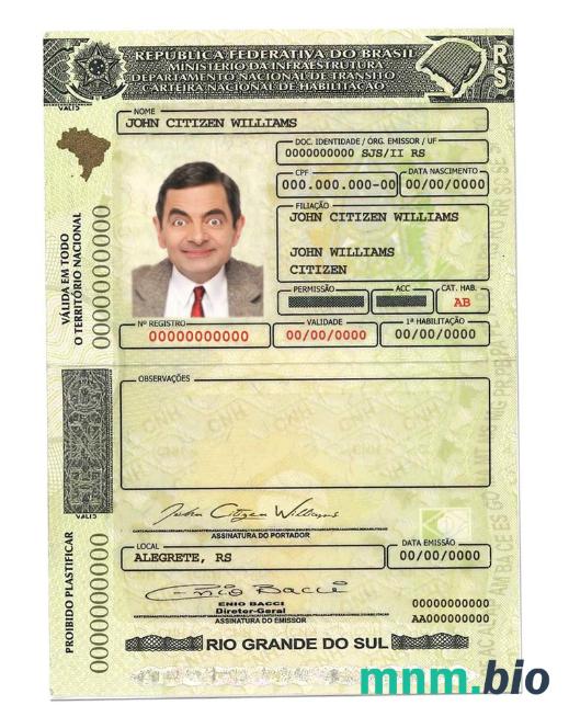 Brazylia (RioGrandedoSul)szablon prawa jazdy w formacie PSD, ze wszystkimi czcionkami
